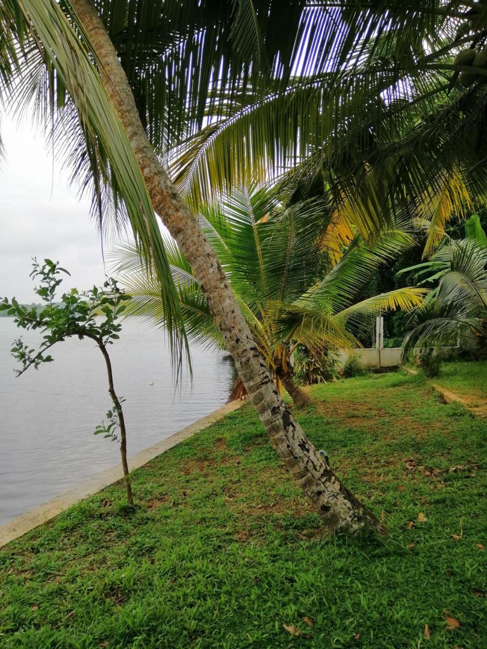 Hikka Lagoon Hikkaduwa Exteriör bild