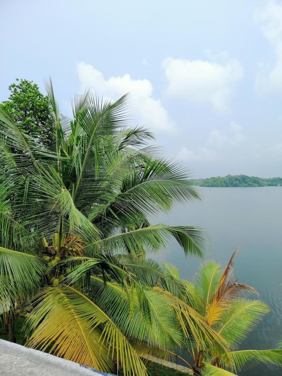 Hikka Lagoon Hikkaduwa Exteriör bild