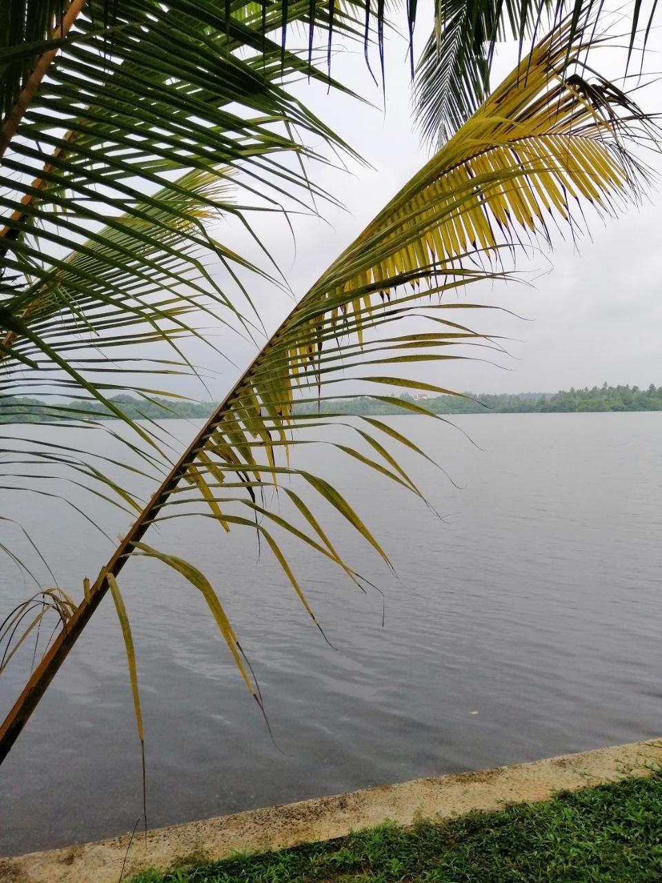 Hikka Lagoon Hikkaduwa Exteriör bild